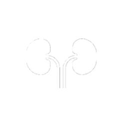 Registro nacional de insuficiencia renal crónica terminal irct-activo